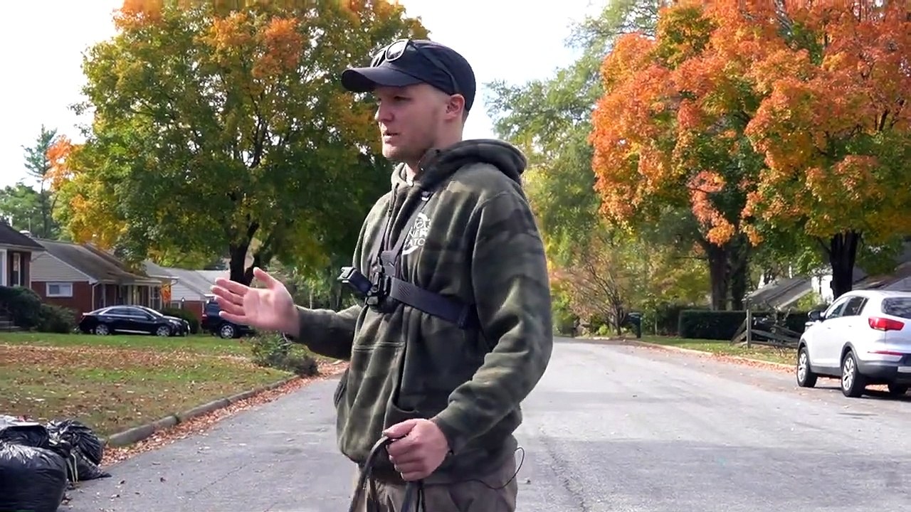 Teach any dog to stop pulling and walk nicely on a loose leash