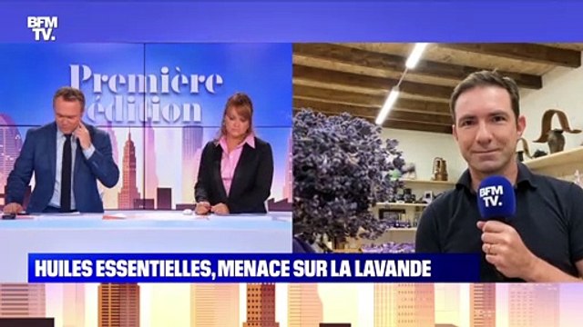 Huiles essentielles, menace sur la lavande - 29/09