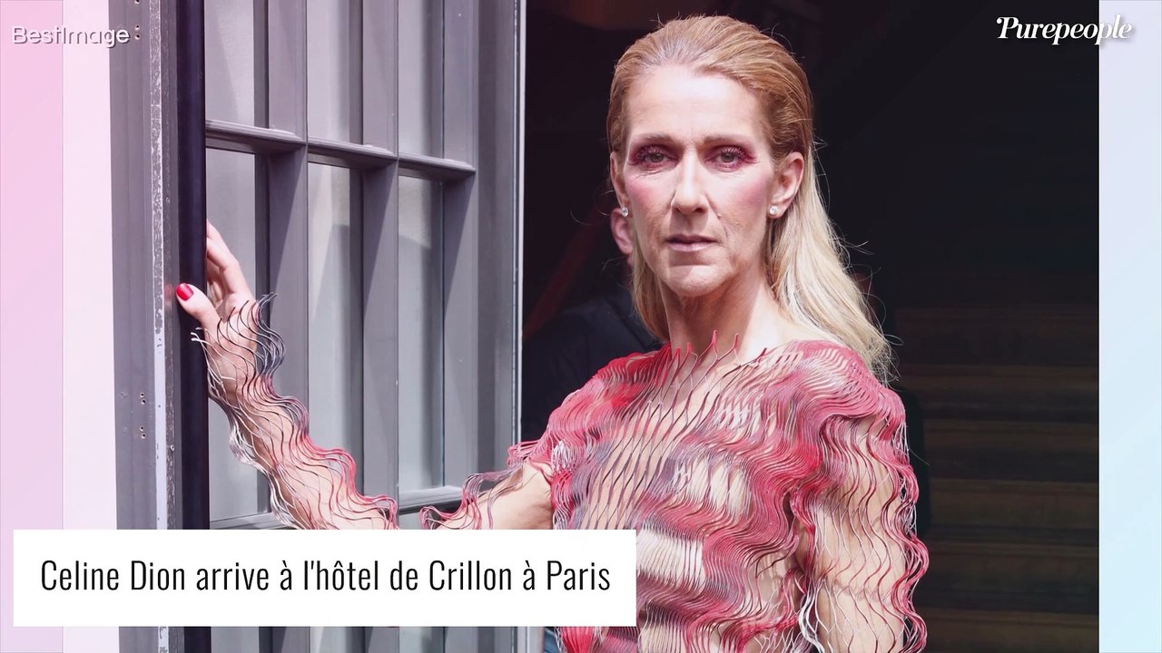 Céline Dion "montrée comme jamais" : la chanteuse annonce un projet inédit