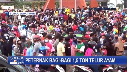 Bentuk Protes Harga Anjlok, Pedagang Bagikan 1,5 Ton Telur Lebih ke Warga