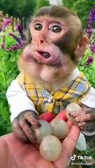 Top Trending   The Best TikTok Videos Compilation - Ep. #66