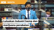Kerajaan wajar luluskan pengunaan hemp, marijuana untuk perubatan, kata Syed Sadiq
