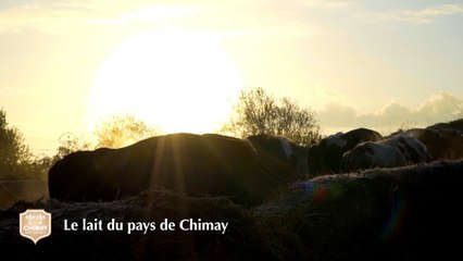 Le lait du pays de Chimay