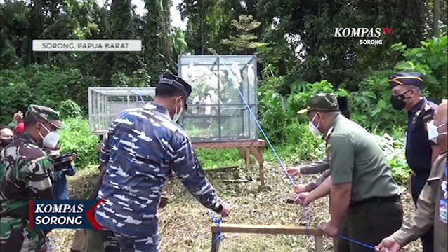 BBKSDA Lepas 37 Satwa Dilindungi Di Mako Armada III