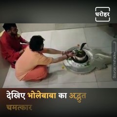 Have A Wonderful Darshan Of Naag Devta