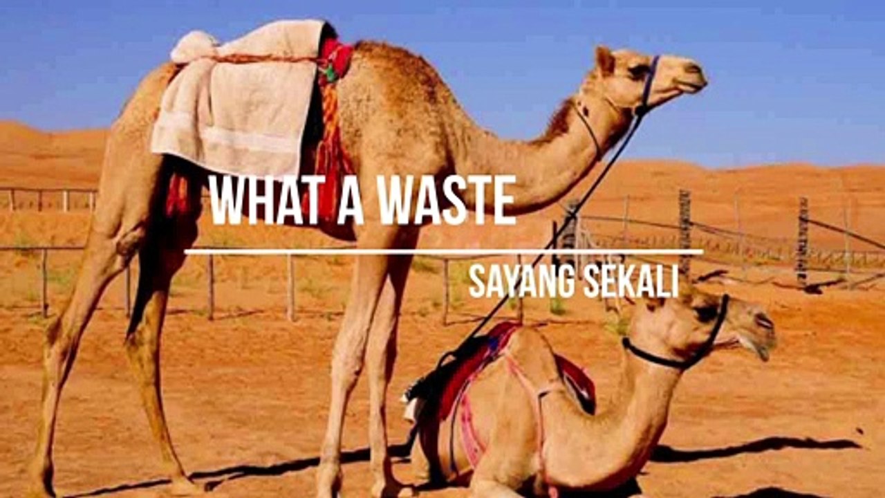 What a Waste