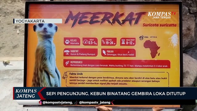 Sepi Pengunjung, Kebun Binatang Gembira Loka Ditutup