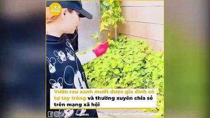 Thích mê vườn cây nhà sao Việt tại Mỹ: Hương Lan phải mang cho cho bớt, vườn nhà Vân Sơn đến 1.200m2