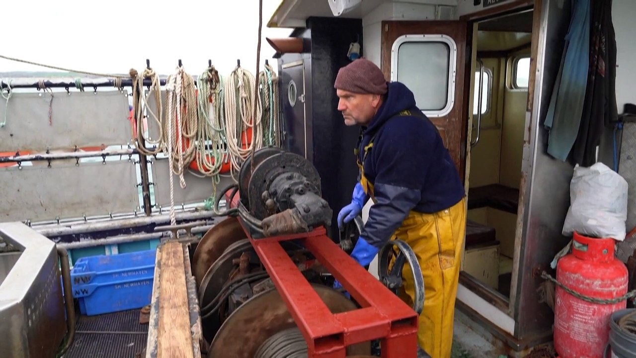 Kleine Fische: Kleinkrieg im Ärmelkanal