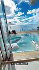 Luxury travel expert vacation and adventure # 1 #shorts