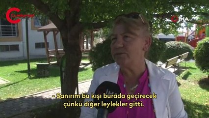 Yaralı leylek bu kış Eskişehir'in misafiri olacak
