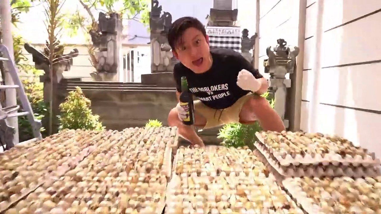 MASAK TERCAPEK! 10 RIBU TELUR PUYUH SEMUR. WARGA REBUTAN TERHARU