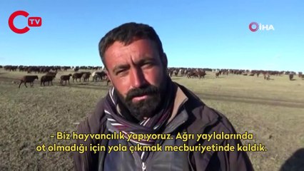 Göçerlerin aylar süren zorlu dönüş yolculuğu başladı