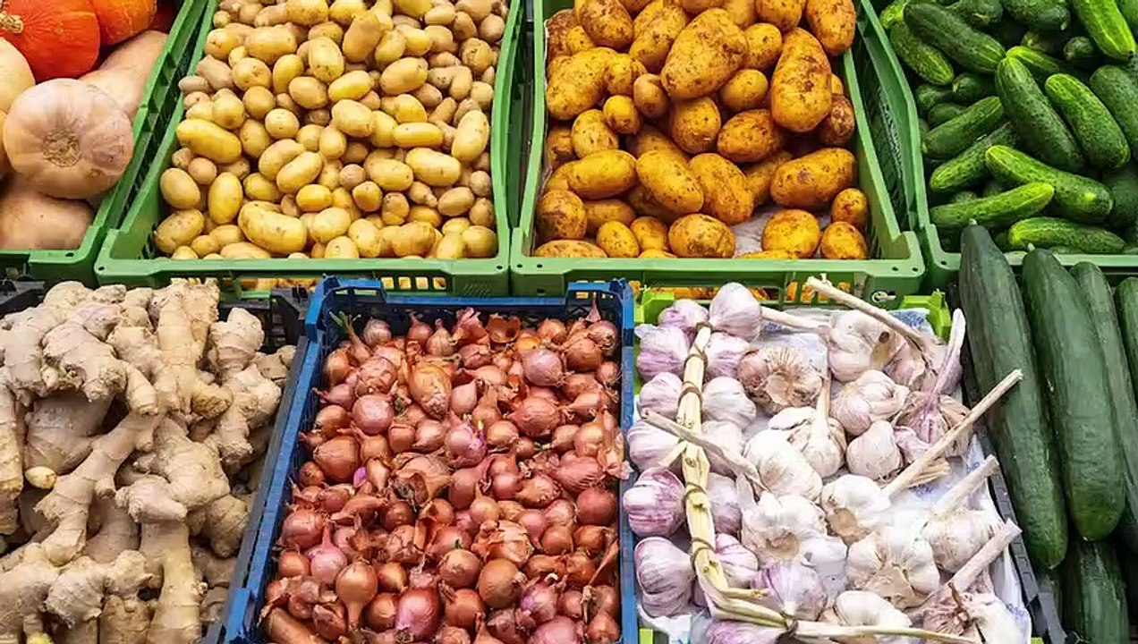 5 Tipps, um Ihren CO2-Fußabdruck zu verkleinern