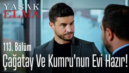 Çağatay ve Kumru'nun evi hazır! - Yasak Elma 113. Bölüm