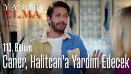 Caner, Halitcan'a yardım edecek - Yasak Elma 113. Bölüm