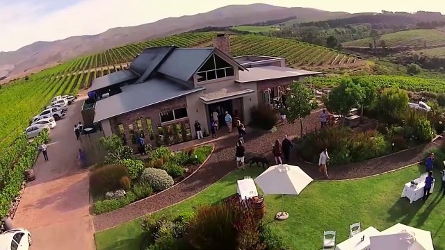 Enogastronomia, ecco quali sono i migliori dieci vigneti al mondo. Nella top10 c'è anche l'Italia