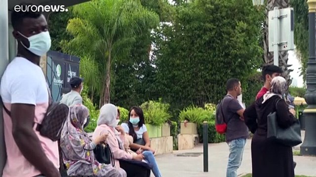 Франция сократила число виз для Алжира, Марокко и Туниса