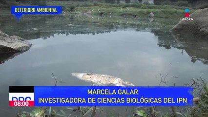 Aguas residuales contaminan la presa Madín