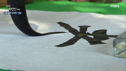 자연인의 복잡한 마음을 푸는 방법! 과연 자연인과 윤택의 서예 솜씨는?