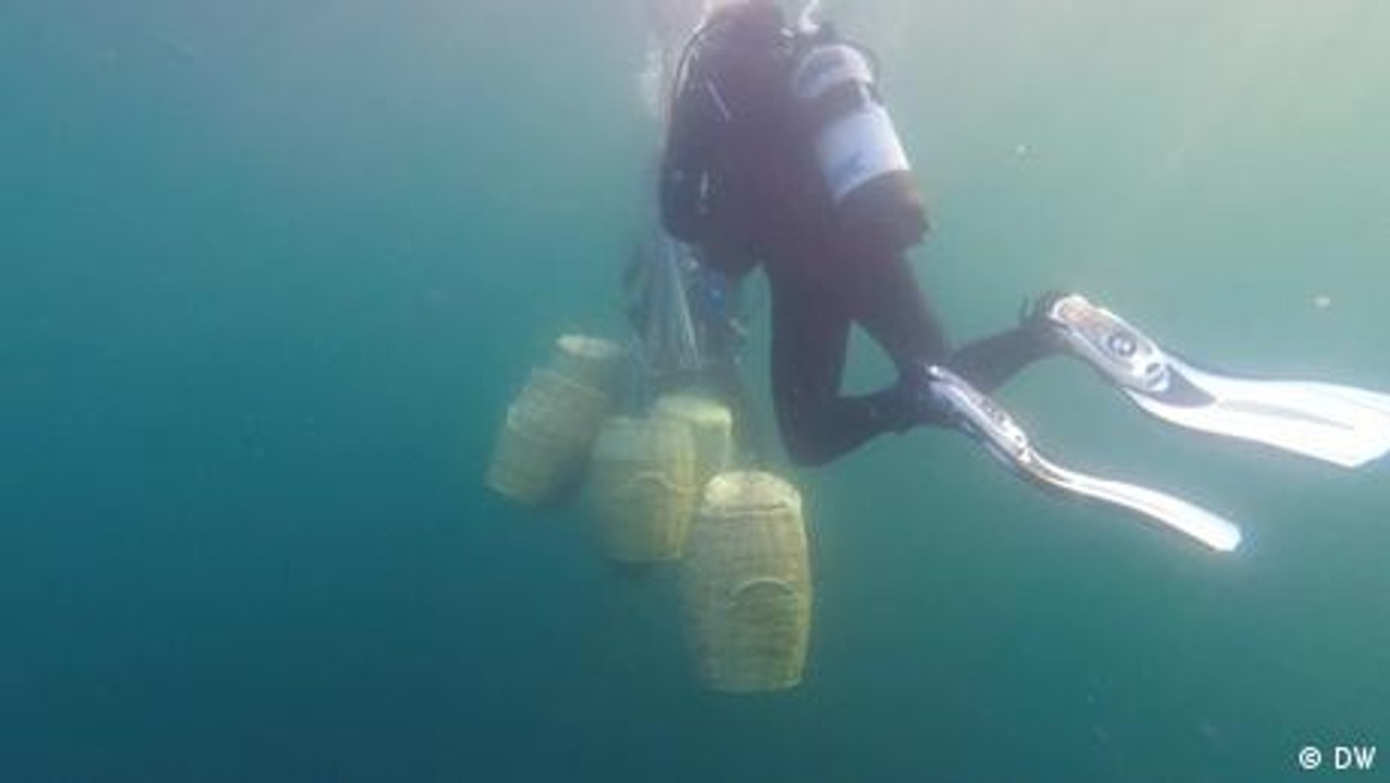Griechischer Wein aus dem Meer