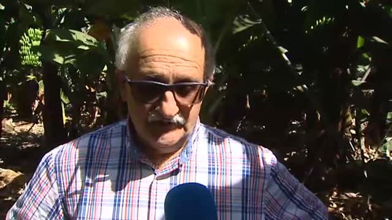 Las cenizas se cuelan en las salinas de La Palma