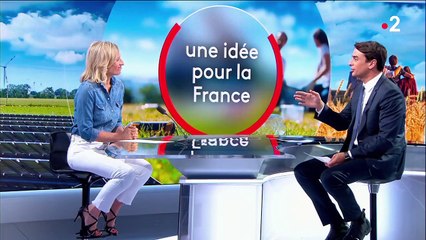 Normandie : des agriculteurs ouvrent leurs champs à des glaneurs solidaires