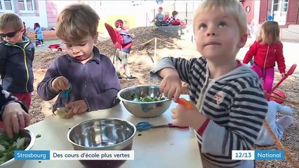 Bas-Rhin : des cours d’école plus vertes