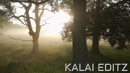 BEST LOVE PROPOSAL MUSIC/WAITING FOR LOVE/AAN PAAVAM TAMIL MOVIE LOVE BGM