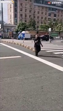 Quand tu promènes tes animaux de compagnie imaginaires