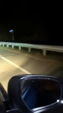 Un tigre aperçu sur une route de Sibérie