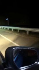 Un tigre aperçu sur une route de Sibérie