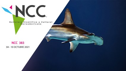 Noticiero Científico y Cultural Iberoamericano, emisión 383. 04 al 10 de octubre de 2021