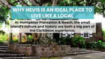 Why Nevis is an Ideal Place to Live Like a Local