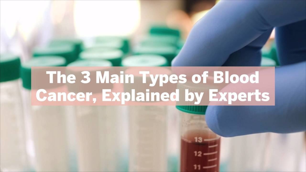 The 3 Main Types of Blood Cancer, Explained by...