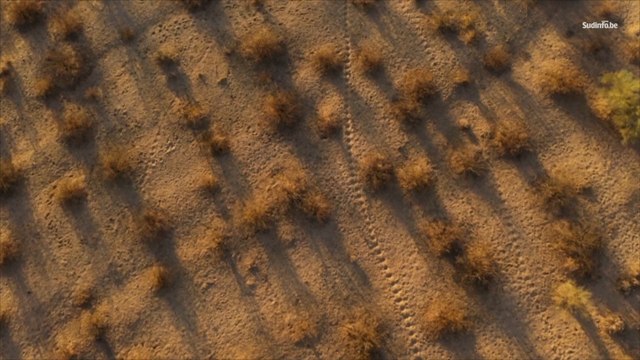 Les enfants nés après 2020 devraient connaître des phénomènes météorologiques extrêmes