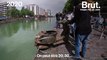 Ce jeune garçon remonte et expose les déchets jetés dans la Seine