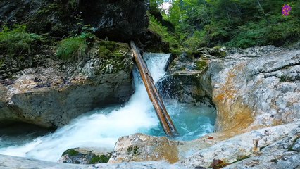 intro-logo-15-min-20210919-134429