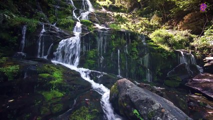 intro-logo-15-min-20210919-133838