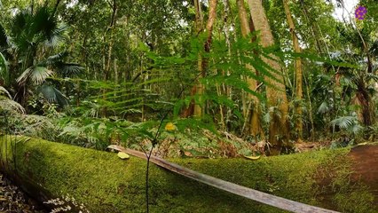 intro-logo-15-min-20210919-133742