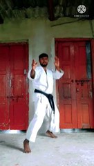 Martial Arts Jumping Kick