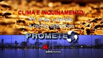 Prometeo Tv n. 39 del 29 settembre 2021