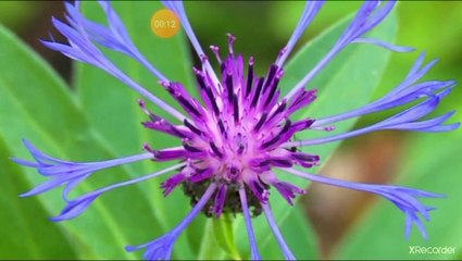 نقي قلبك لو لا المحن والحروب لما عرفنا الكم الهائل من العلوم