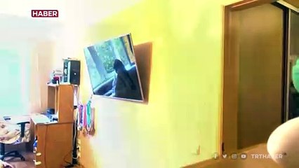 KGB ajanları eve baskın yaptı