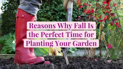 10 Reasons Why Fall Is the Perfect Time for Planting Your Garden