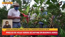 Precio de hoja verde se define en Buenos Aires corto