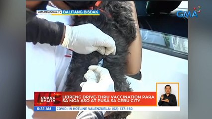 Libreng drive-thru vaccination para sa mga aso at pusa sa Cebu City | UB