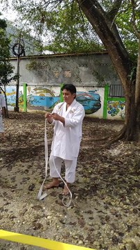 How to tie your Karate Belt - Cara ikat sabuk karate