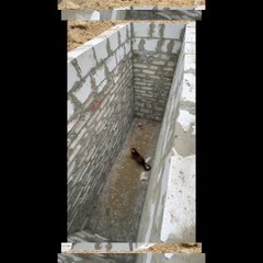 cat make some awesome jump | cat lovers | Sableng Enterprise