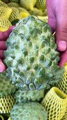 6.Manfaat buah srikaya untuk kesehatan tubuh